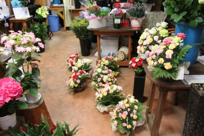 母の日 いわき市 小名浜 花屋 花国湘南台店