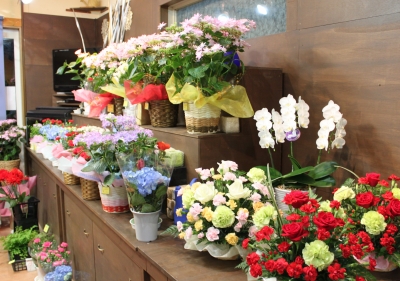 母の日 いわき市 小名浜 花屋 花国湘南台店