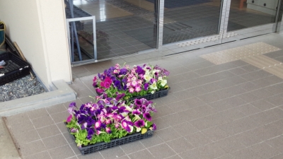 ボランティア 復興 いわき市 小名浜の花屋 花国湘南台店