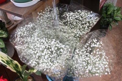 激安 切花 お徳 いわき市 小名浜の花屋 花国湘南台店