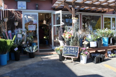 正月 花 安い いわき市 小名浜の花屋 花国湘南台店