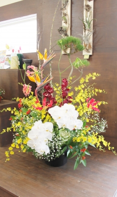 正月 花 安い いわき市 小名浜の花屋 花国湘南台店
