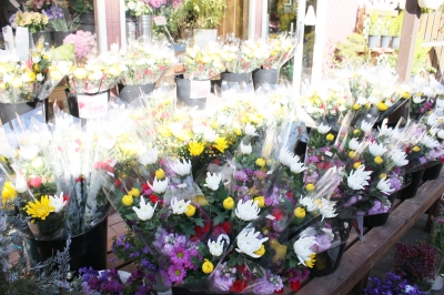 お彼岸セール 切花 安い いわき市小名浜の花屋 花国湘南台店