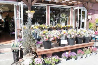お彼岸セール 切花 安い いわき市小名浜の花屋 花国湘南台店