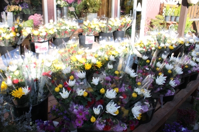 お彼岸セール 切花 安い いわき市小名浜の花屋 花国湘南台店