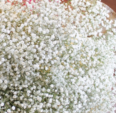 かすみ草 花束 いわき市小名浜の花屋 花国湘南台店
