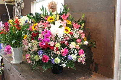 お祝い スタンド花 開店祝い観葉植物 いわき市小名浜の花屋 花国湘南台店