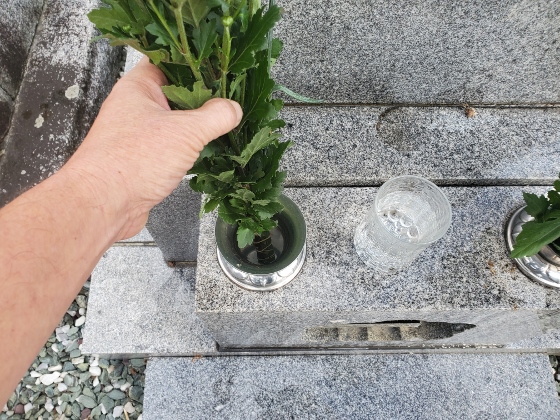 いわき市 花国 お花の画像 お供え お墓参り