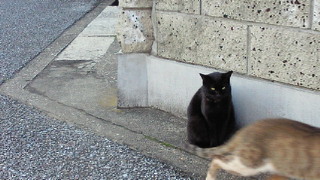 200911231431001.jpg