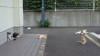 201008131739000.jpg