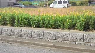 201011131311000.jpg