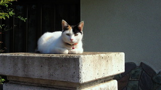 201005151518000.jpg