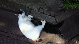 201005251000000.jpg