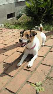 201010031042000.jpg