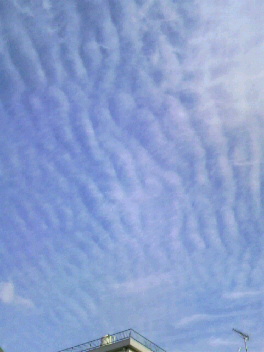 2010121511140000.jpg