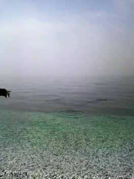 2011020714100000.jpg
