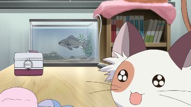 ましろ色シンフォニー7話