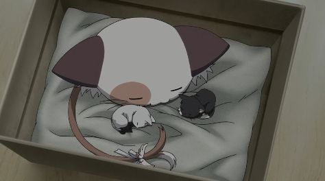 ましろ色シンフォニー8話ぱんにゃと子猫