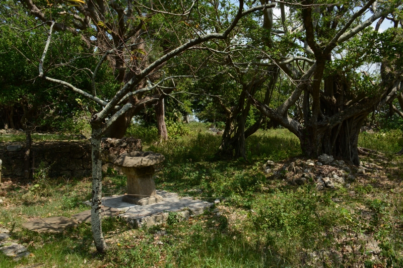 DSC_6007.jpg