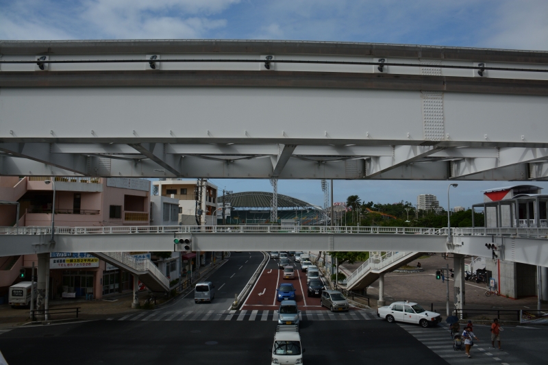 DSC_7437.jpg