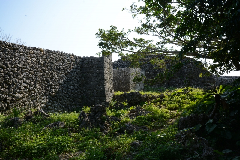 DSC_0132.jpg