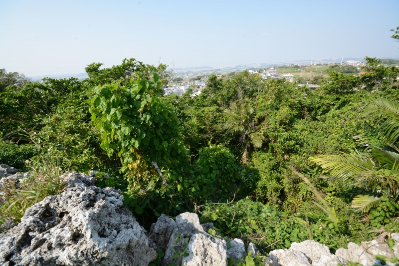 DSC_0140.jpg