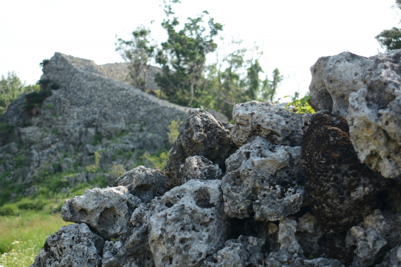 DSC_9944.jpg