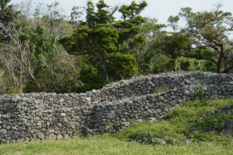 DSC_9964.jpg