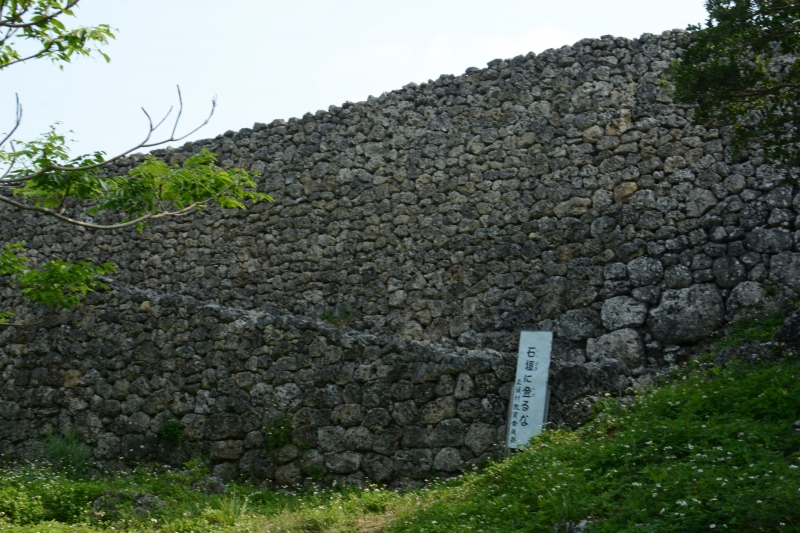 DSC_9989.jpg