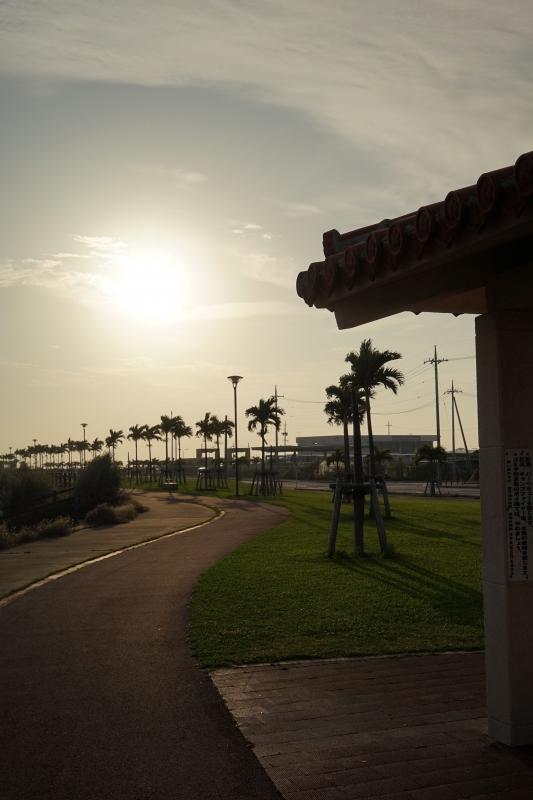 DSC03946.jpg
