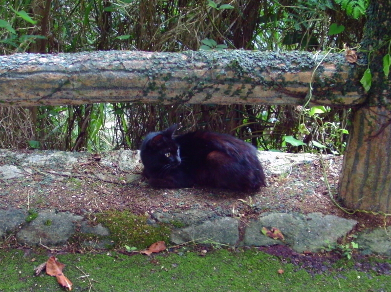IMAG0013.JPG