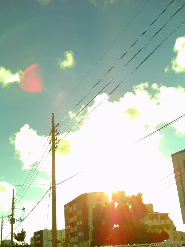 IMAG0012.JPG