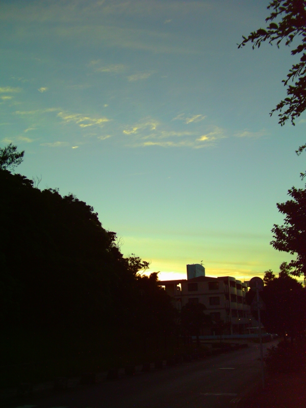 IMAG0044.JPG