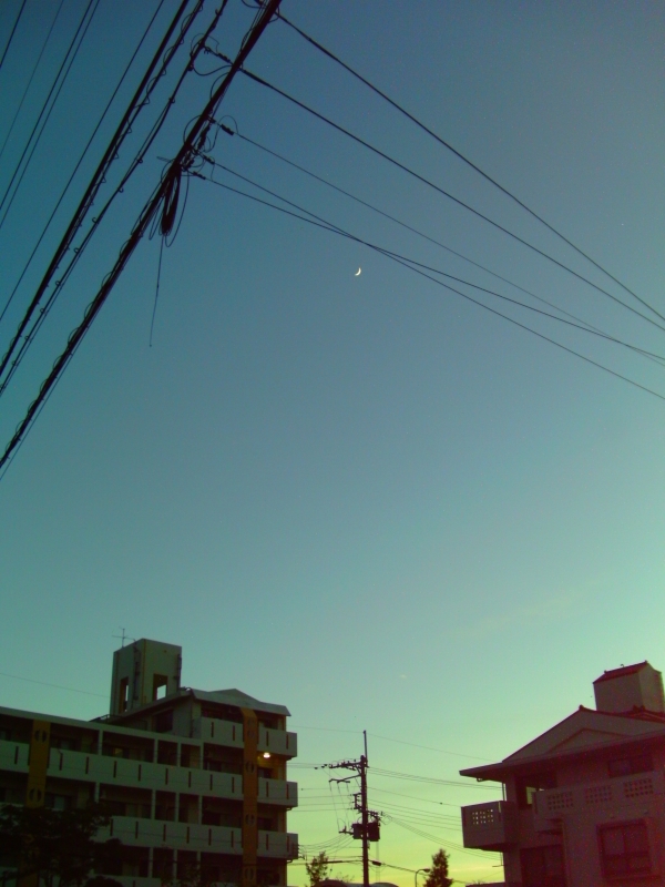 IMAG0047.JPG