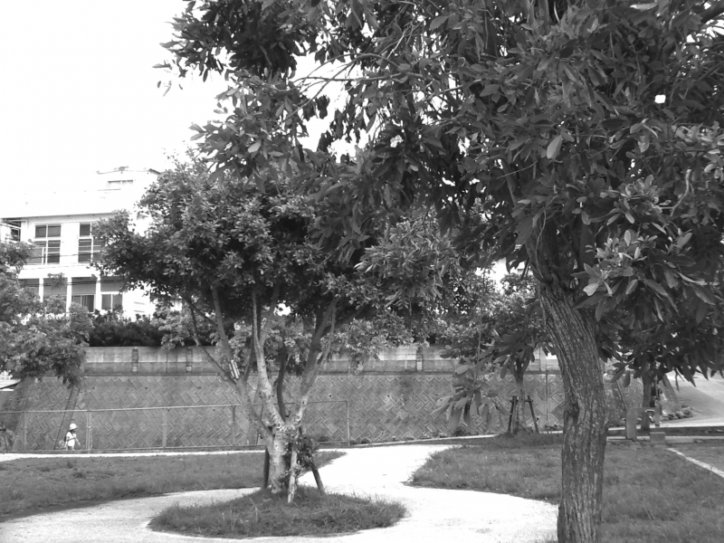 PICT0030.JPG