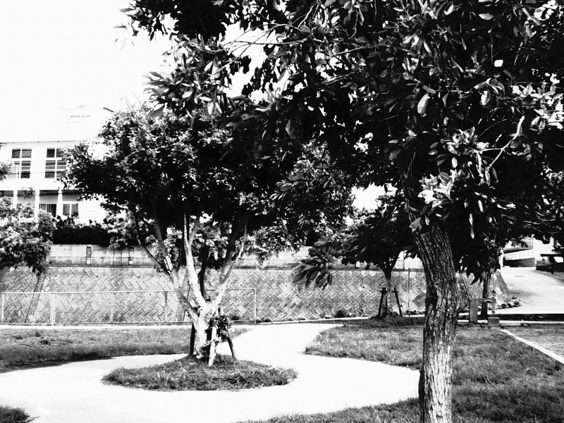 PICT0031.JPG