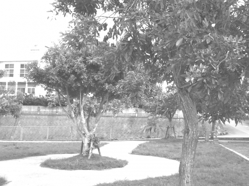 PICT0032.JPG