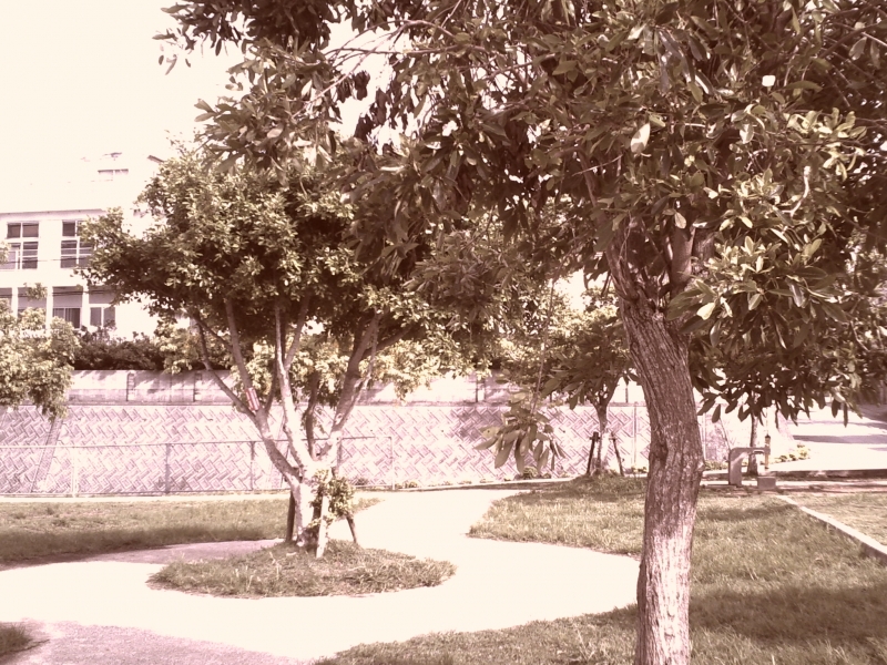 PICT0033.JPG