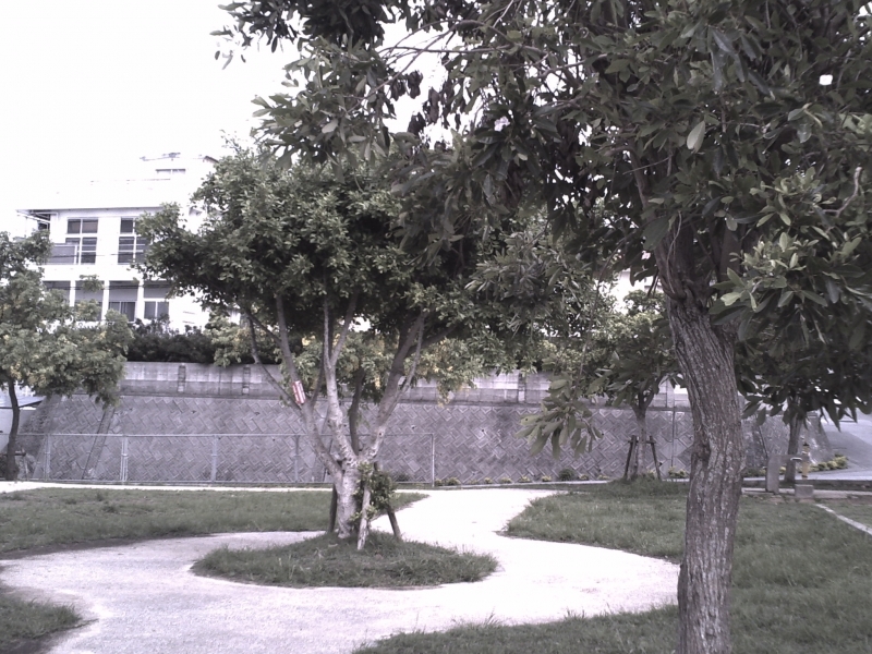 PICT0034.JPG