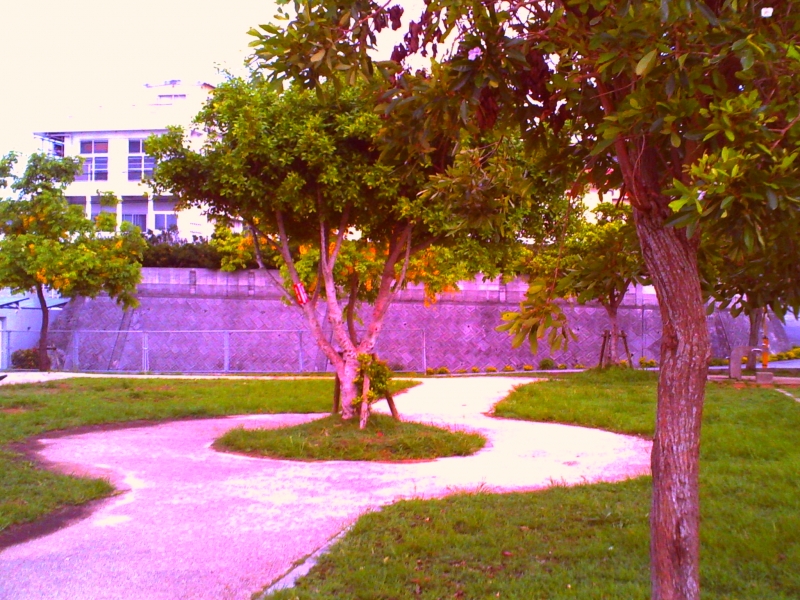 PICT0035.JPG