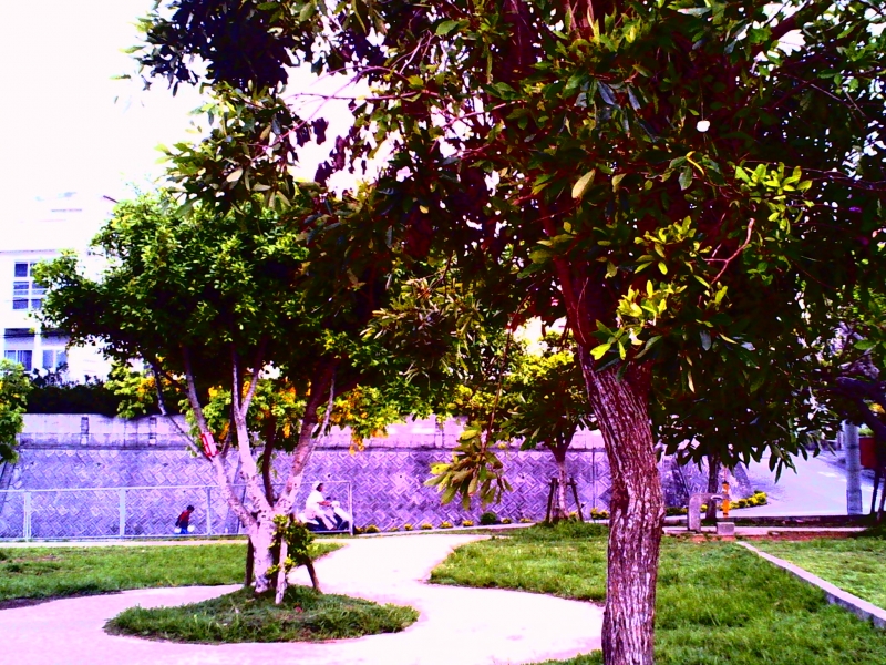 PICT0036.JPG