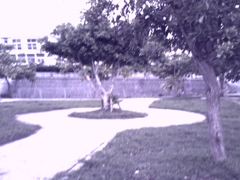 PICT0037.JPG