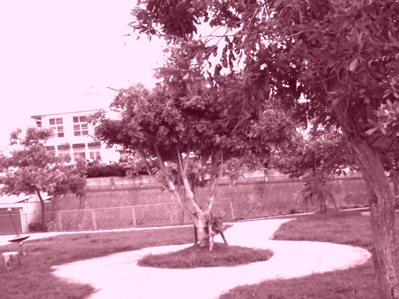 PICT0038.JPG