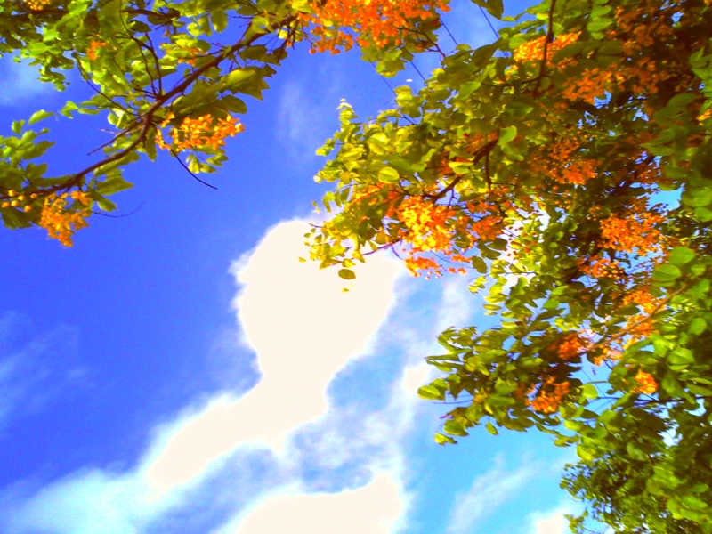 PICT0045.JPG