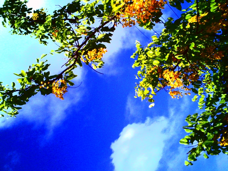 PICT0046.JPG
