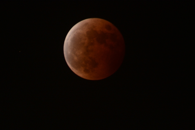 DSC_8736.JPG