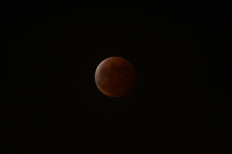 DSC_8737.JPG