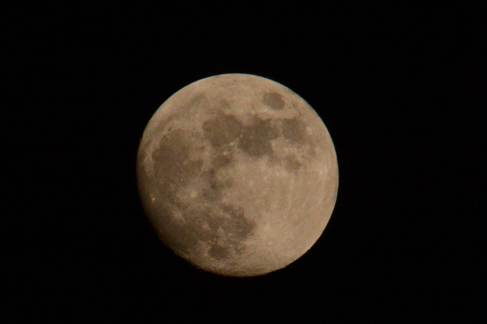 DSC_9531.JPG