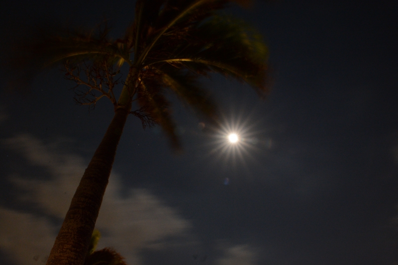 DSC_9557.jpg