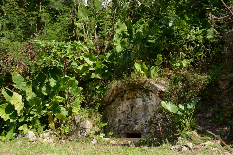 DSC_9639.jpg